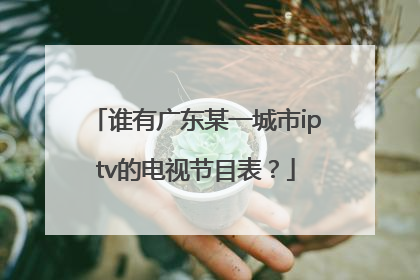谁有广东某一城市iptv的电视节目表？