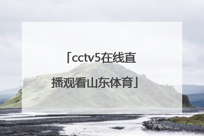 「cctv5在线直播观看山东体育」cctv5十体育在线直播观看下载
